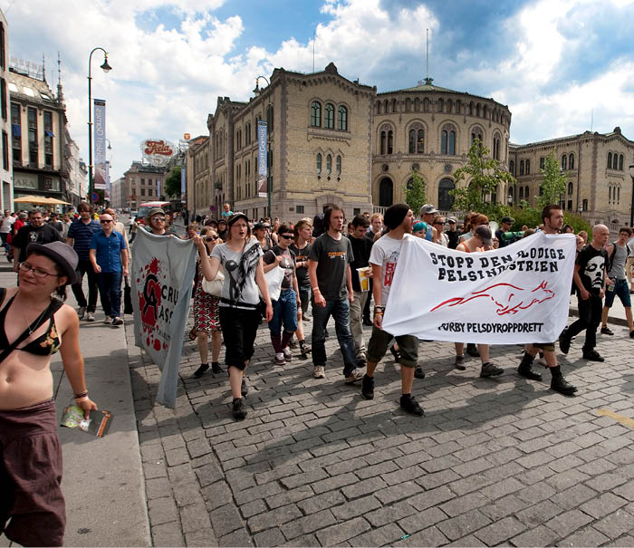 OSLO 20090629: “Nettverk for dyrenes frihet" demonstrerte mot pelsdyroppdrett utenfor butikker i Oslo som selger pelsdyr k per og lignende. Foto: Gorm Kallestad / NTB