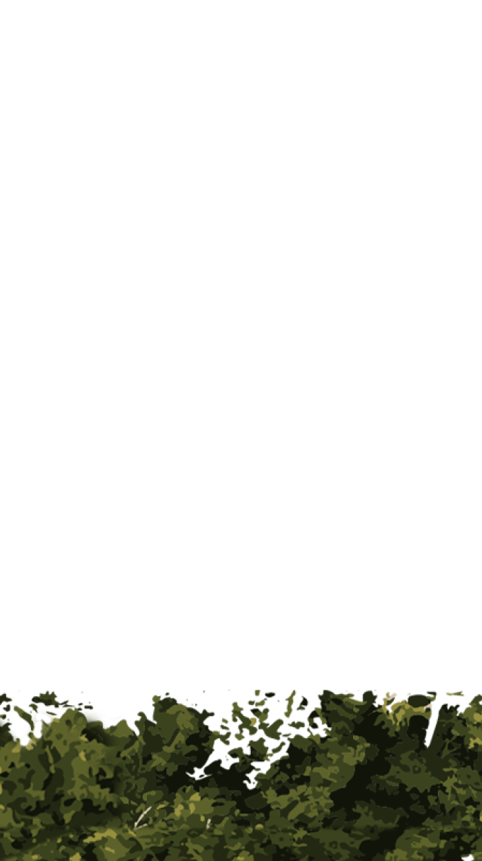 parallax image