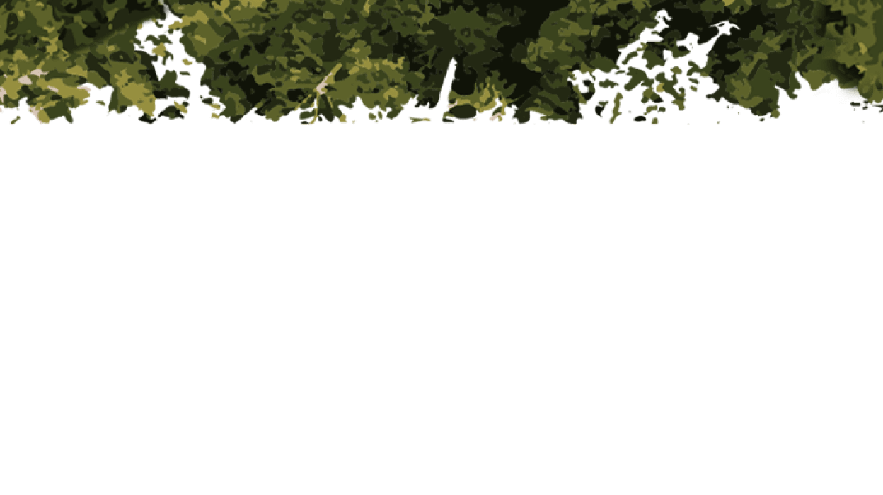 parallax image