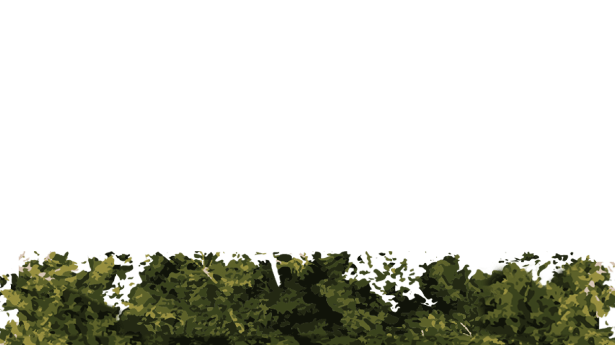 parallax image