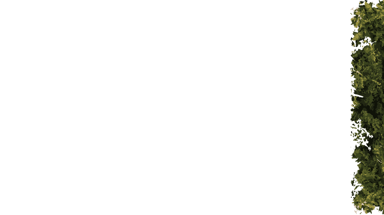 parallax image