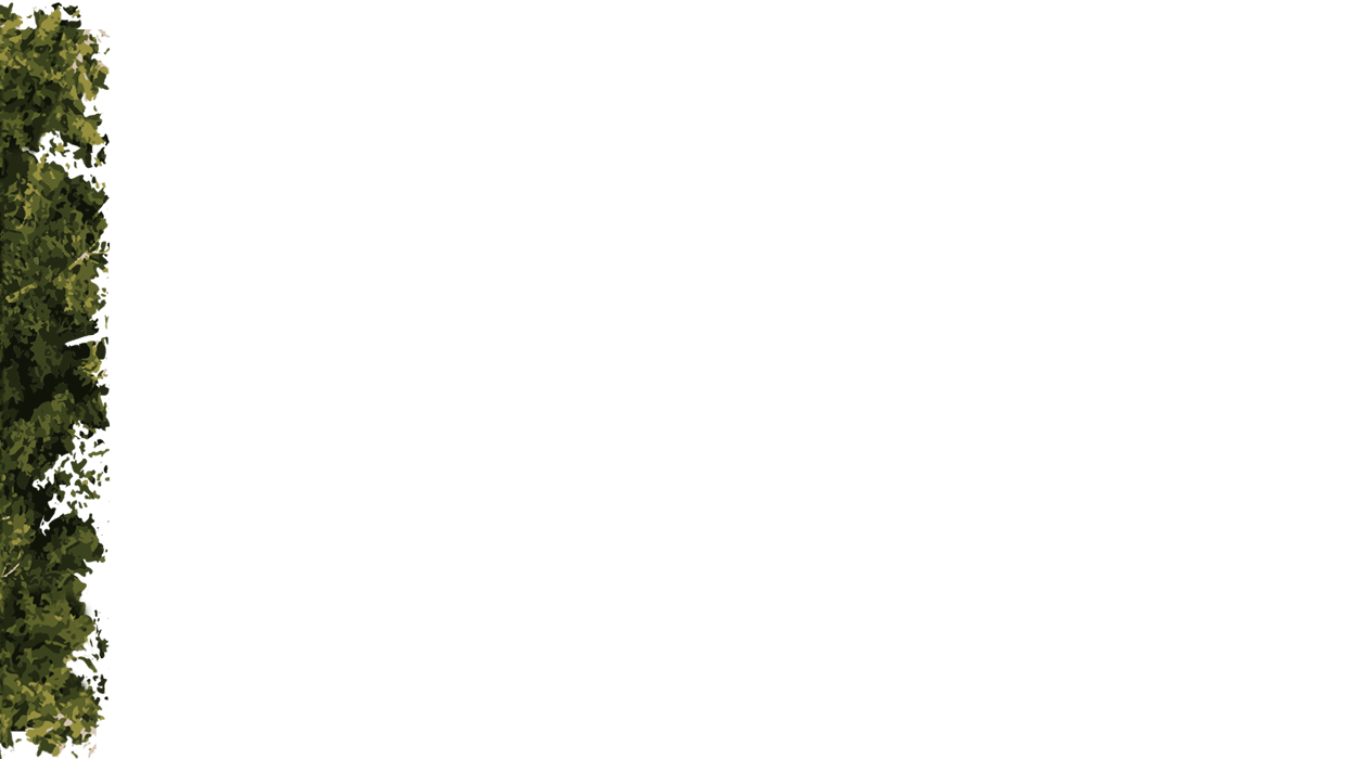 parallax image