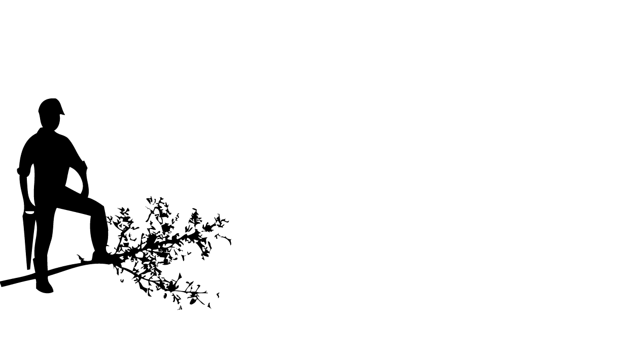 parallax image
