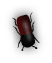 b3