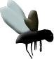 Fb1