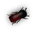 Bbill