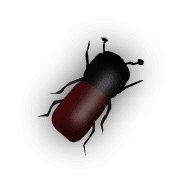 b3