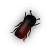 bill1