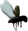 Fb1