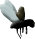 Fb1