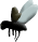 Fb1