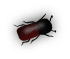 b3