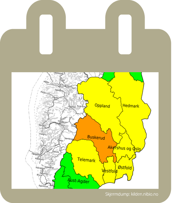 TELEMARK,VESTFOLD, STFOL
