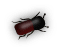 b3