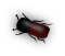 b3