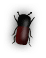 b3