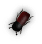 b3
