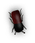 b3
