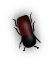 b3