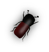 b3