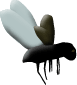 Fb1
