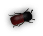 b3
