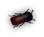 b3