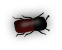 b3