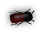 b3
