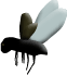 Fb1