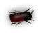 b3
