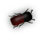 b3